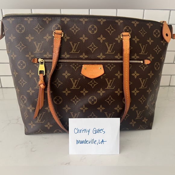 Louis Vuitton Iena MM - Picture 11 of 12